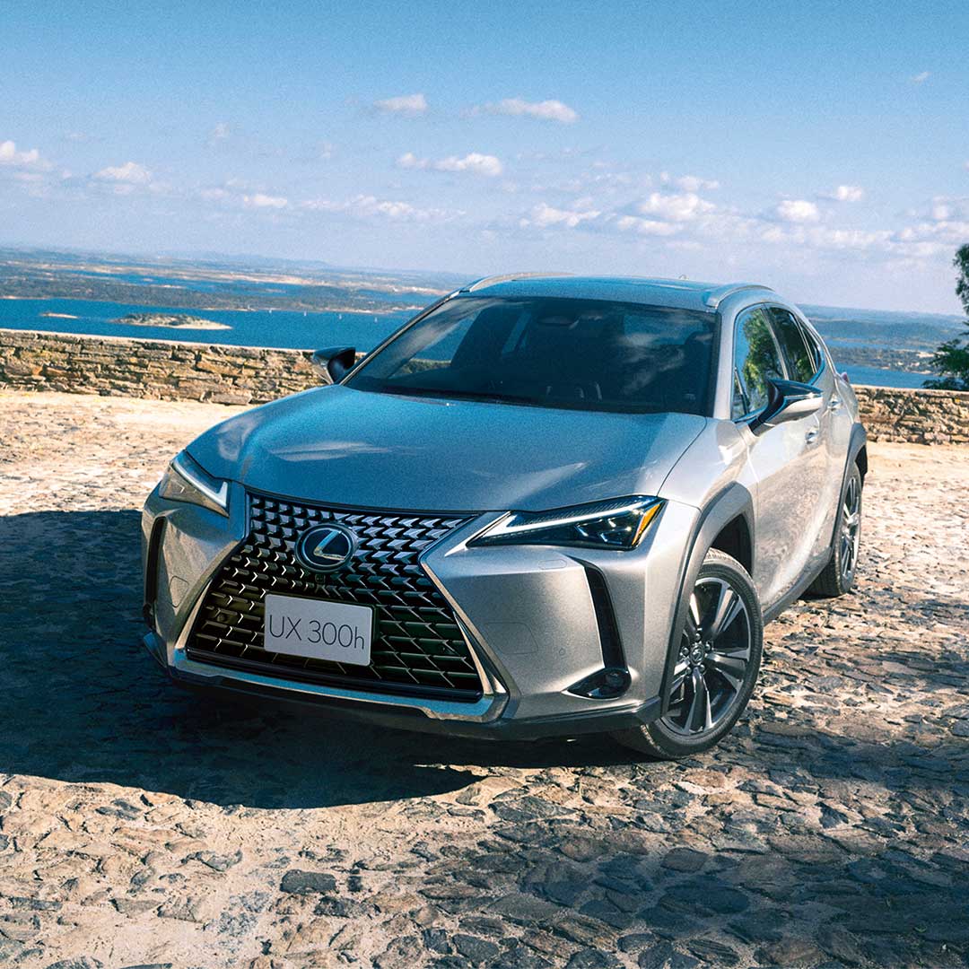 A silver Lexus UX parked at the beach