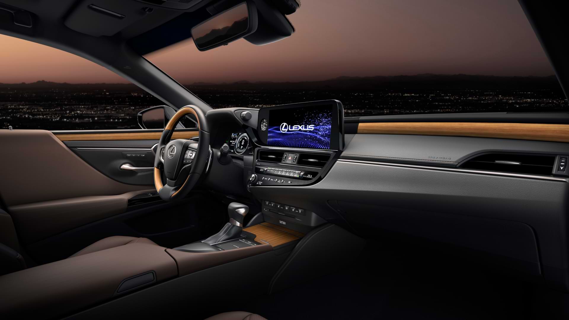 2021 Lexus ES steering wheel and interior